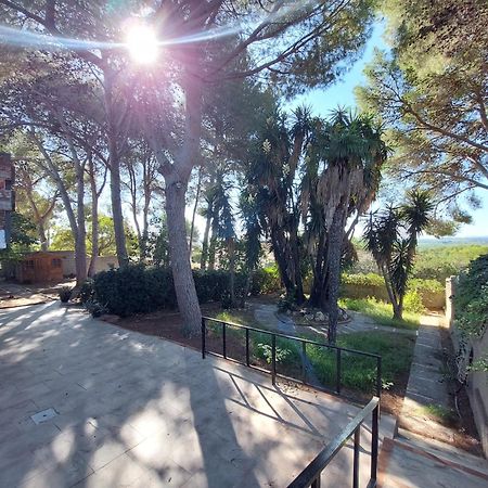 Chalet Rustico Con Piscina Y Barbacoa, Valencia 托伦特 外观 照片