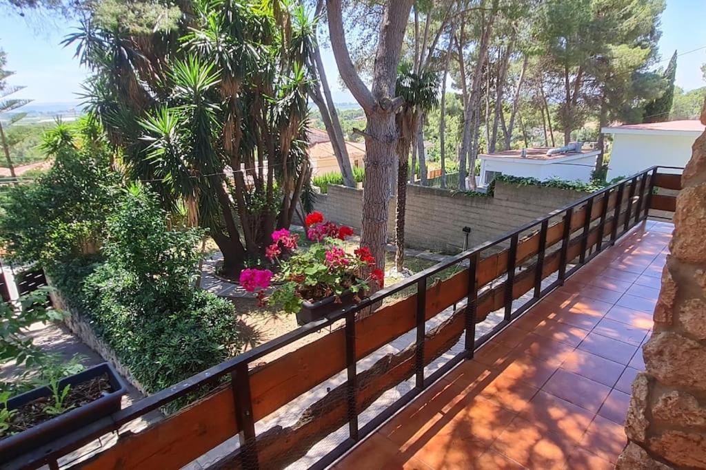 Chalet Rustico Con Piscina Y Barbacoa, Valencia 托伦特 外观 照片